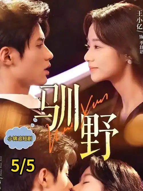 免费看电视剧雾港来信海报